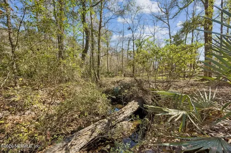 4564 Crazy Horse Avenue Middleburg FL 32068