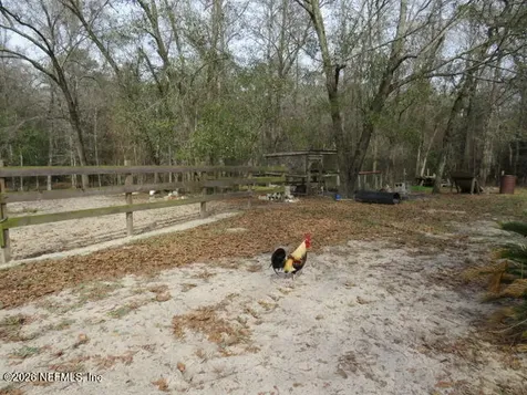 4564 Crazy Horse Avenue Middleburg FL 32068
