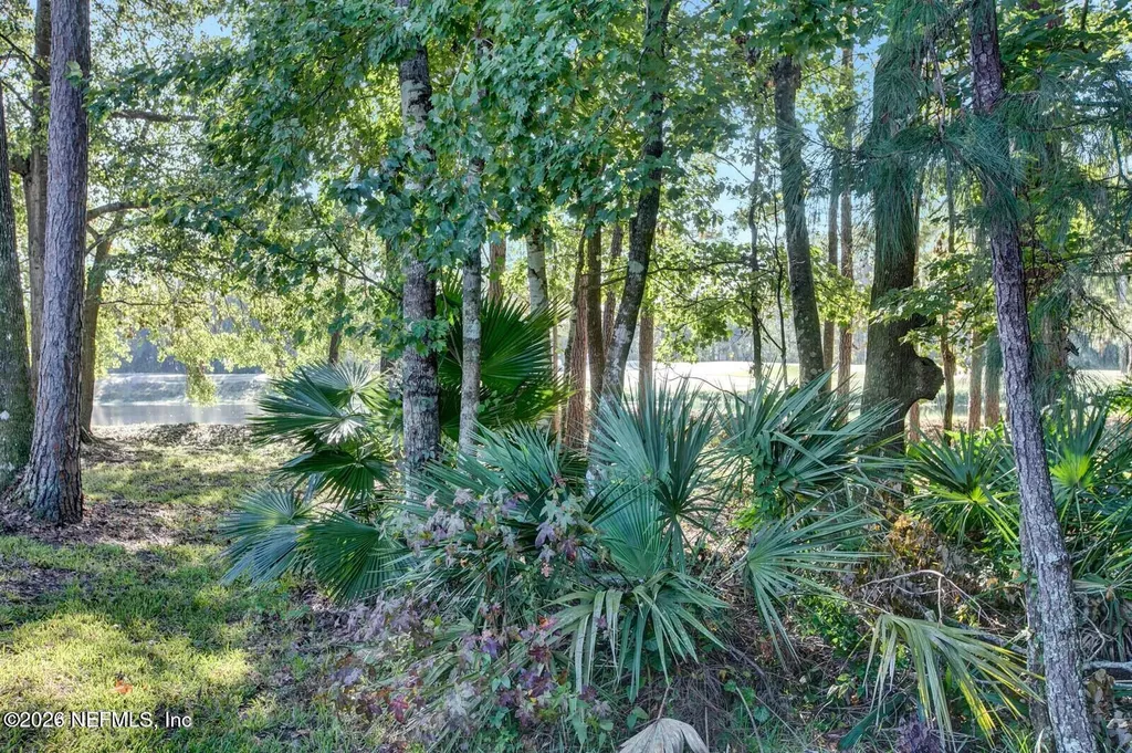 1725 River Hills Drive Fleming Island FL 32003