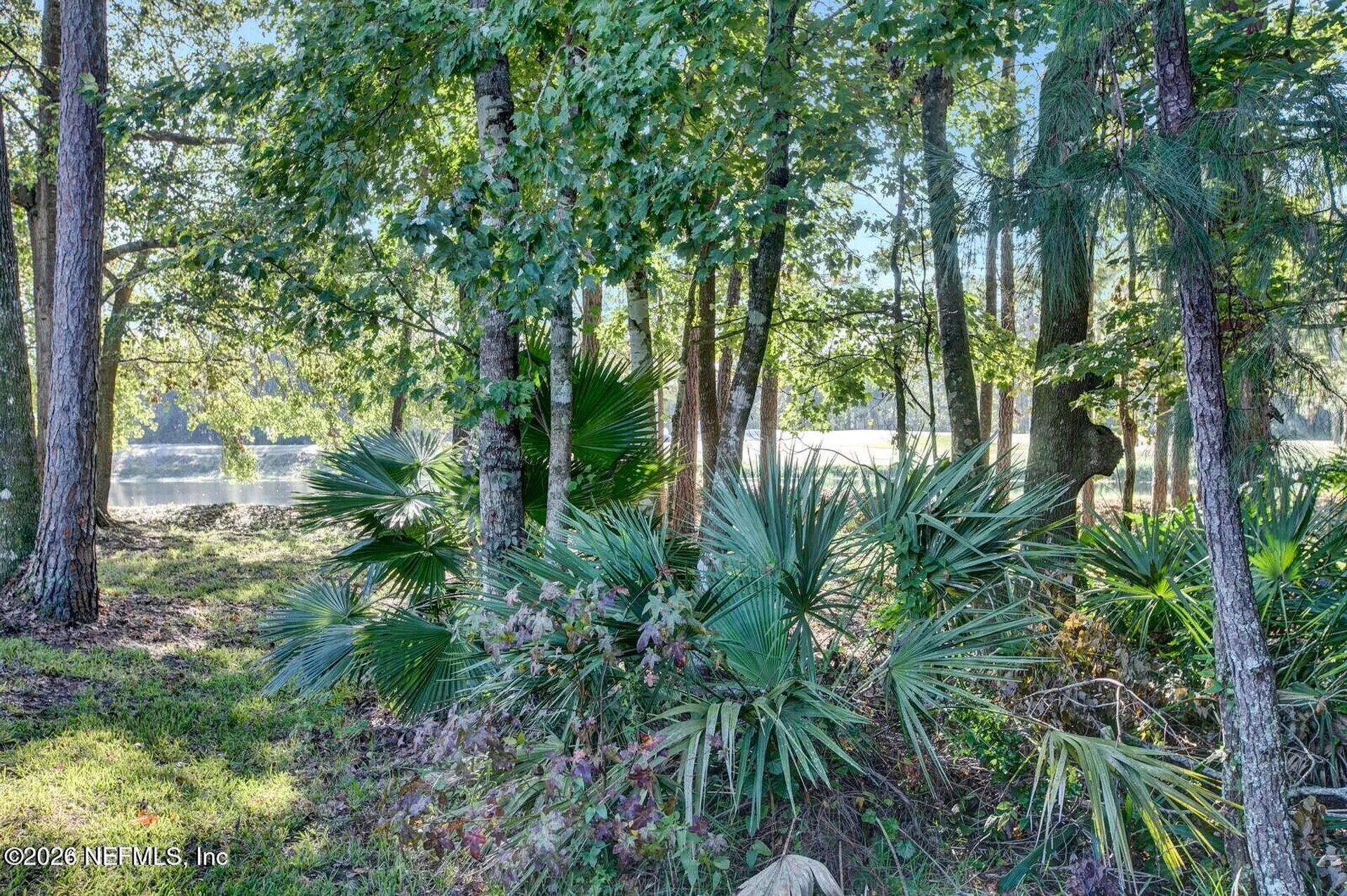 1725 River Hills Drive Fleming Island FL 32003