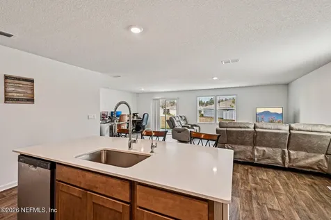 2250 Spider Lily Lane Green Cove Springs FL 32043