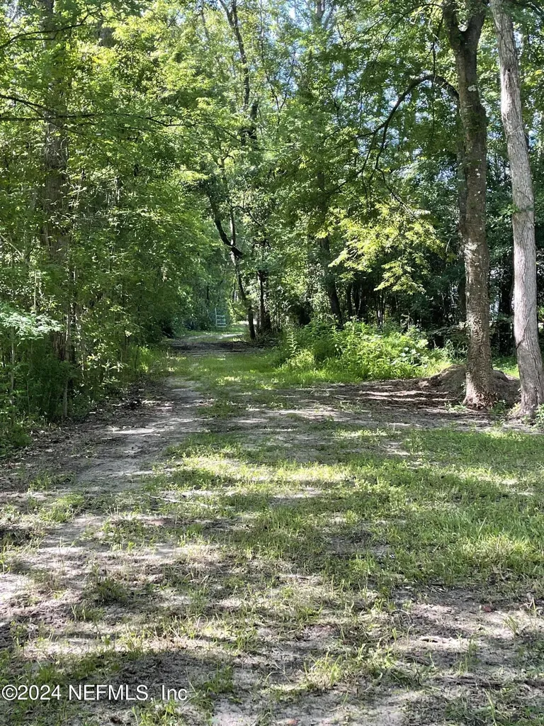 0 Sunrise Farms Road Middleburg FL 32068
