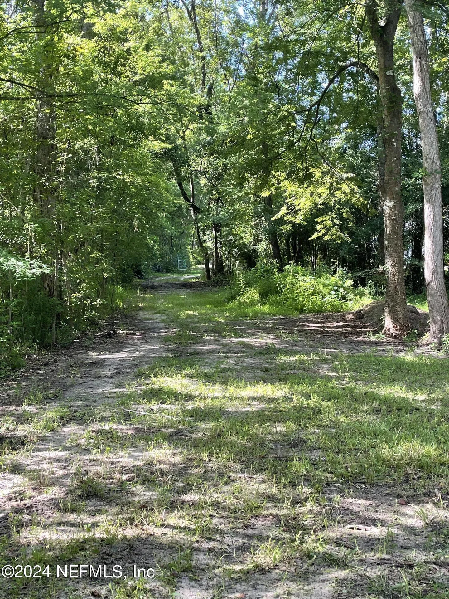 0 Sunrise Farms Road Middleburg FL 32068