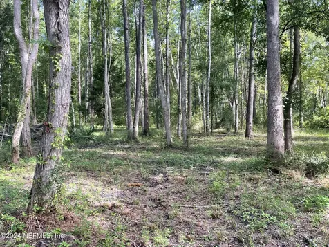 0 Sunrise Farms Road Middleburg FL 32068