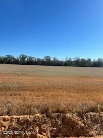 5123 Elmore Road Graceville FL 32446