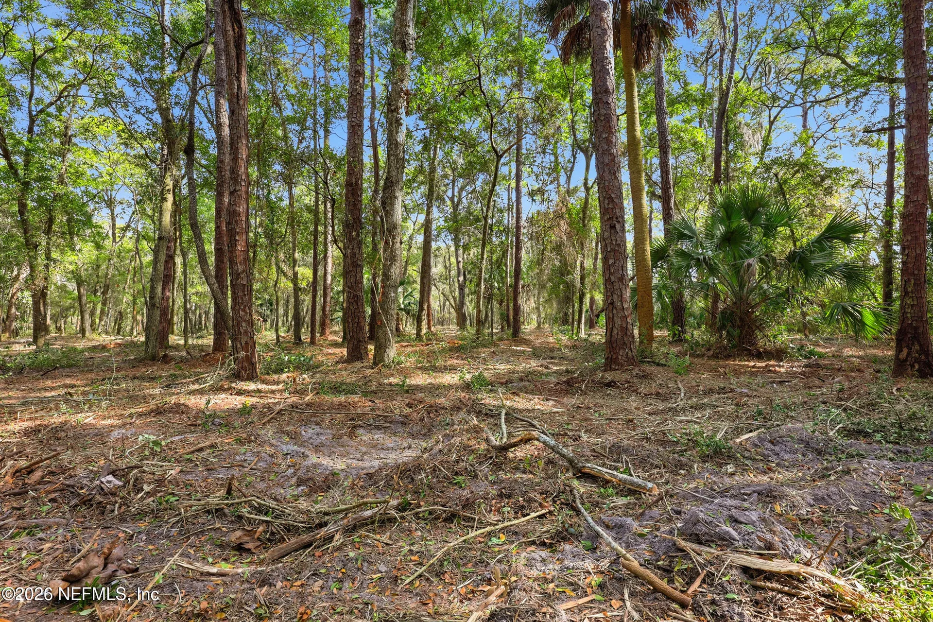 4 Quinlan Ridge Lane E Jacksonville FL 32225