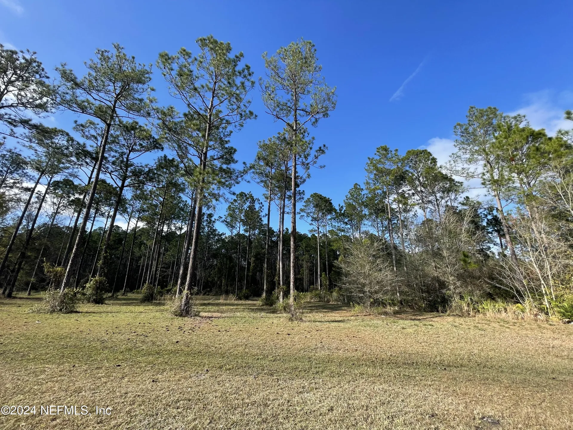 10105 Breakaway Court Jacksonville FL 32219