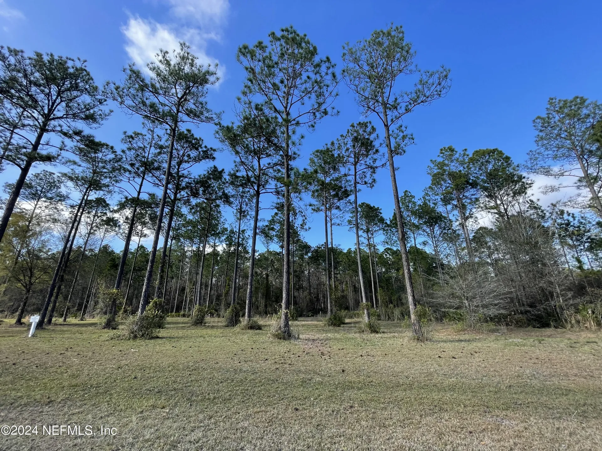 10105 Breakaway Court Jacksonville FL 32219