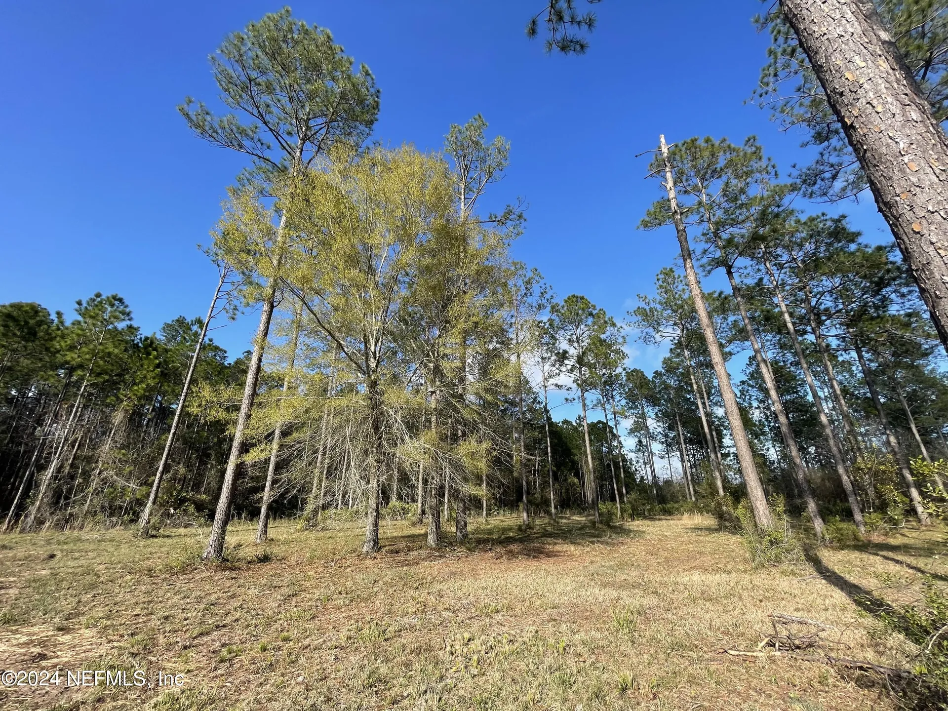 10105 Breakaway Court Jacksonville FL 32219