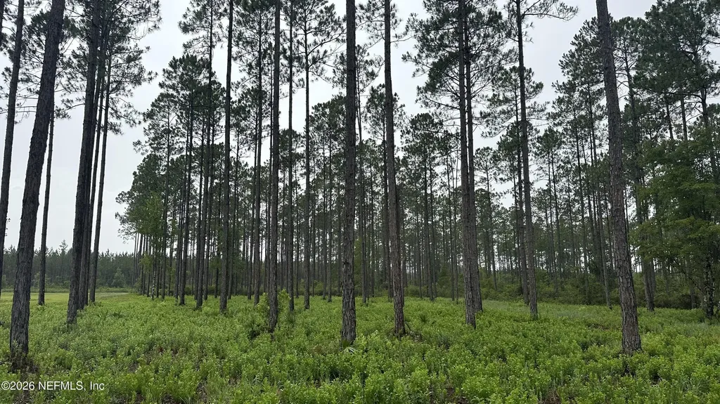 0 Us Highway 301 Bryceville FL 32209