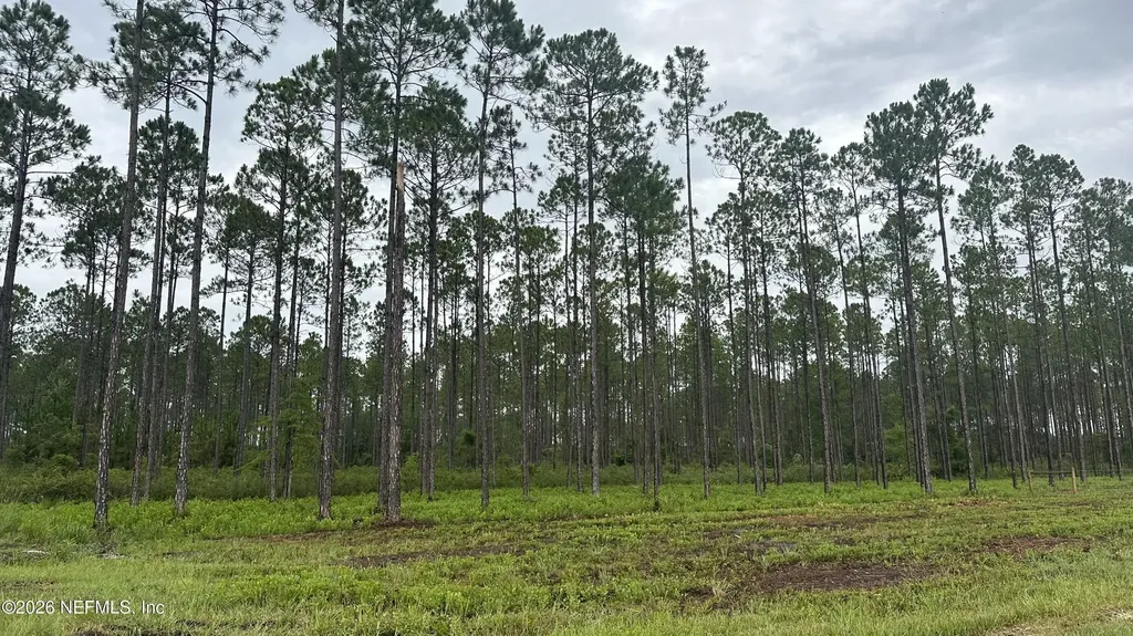 0 Us Highway 301 Bryceville FL 32209
