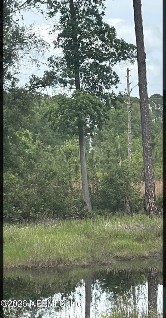 217 Hanselman Avenue Crescent City FL 32112