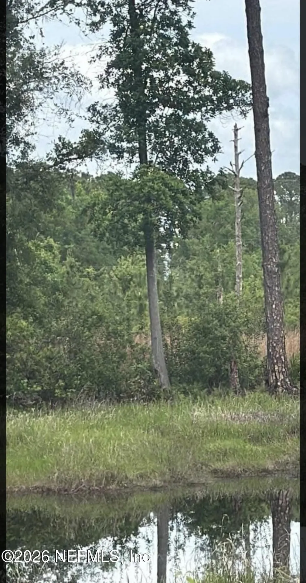 217 Hanselman Avenue Crescent City FL 32112