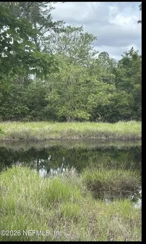 217 Hanselman Avenue Crescent City FL 32112