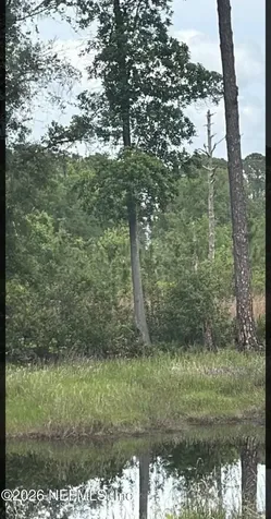 217 Hanselman Avenue Crescent City FL 32112