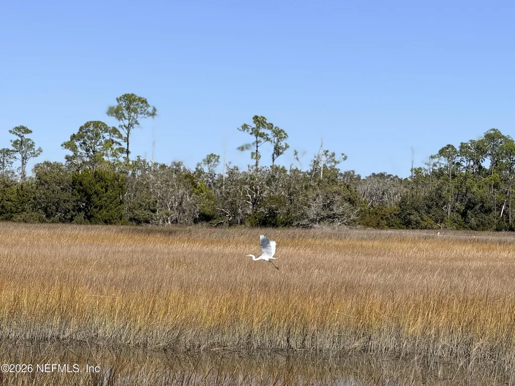 500 Coopers Cove Road St. Augustine FL 32095