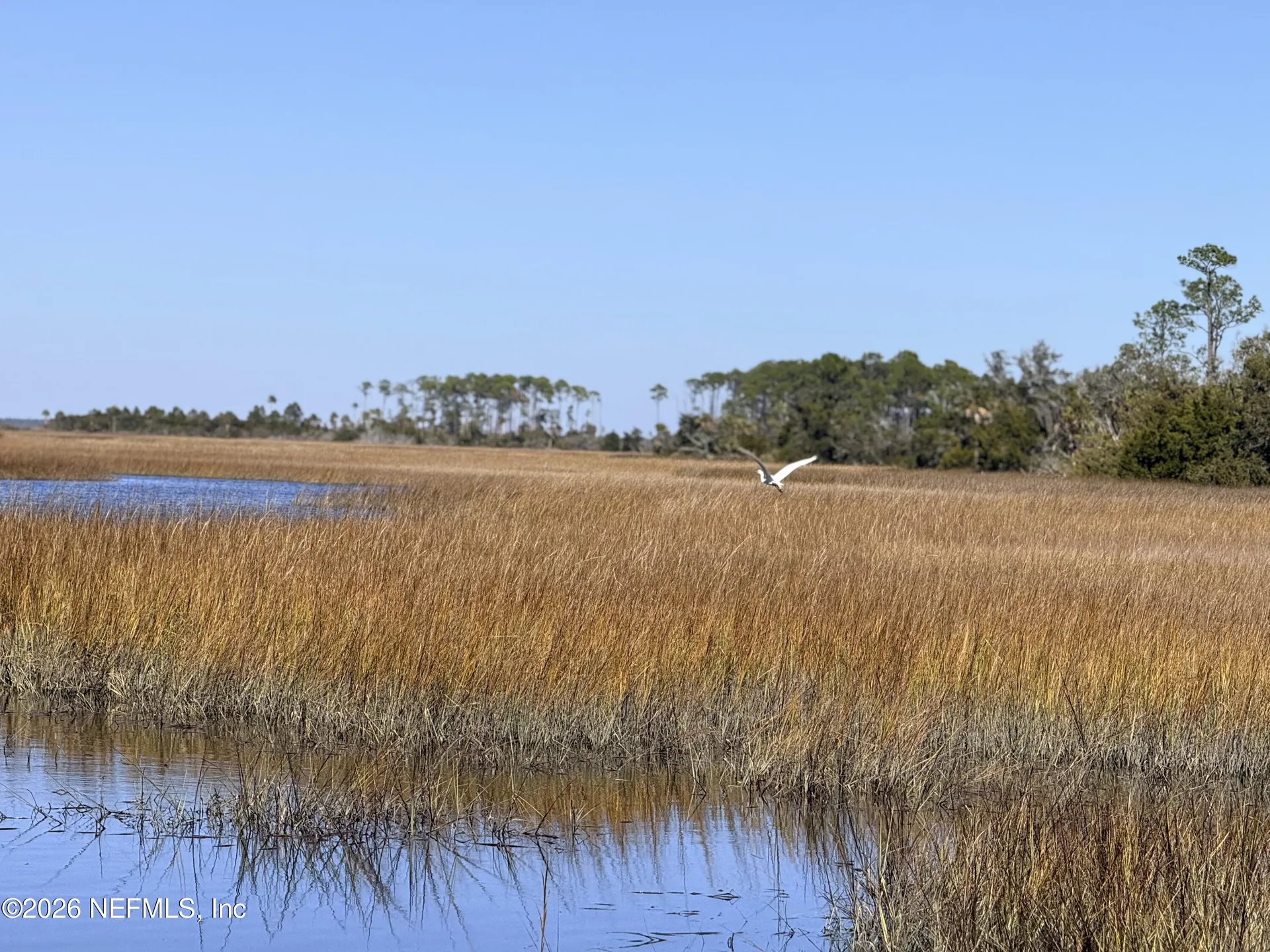 500 Coopers Cove Road St. Augustine FL 32095