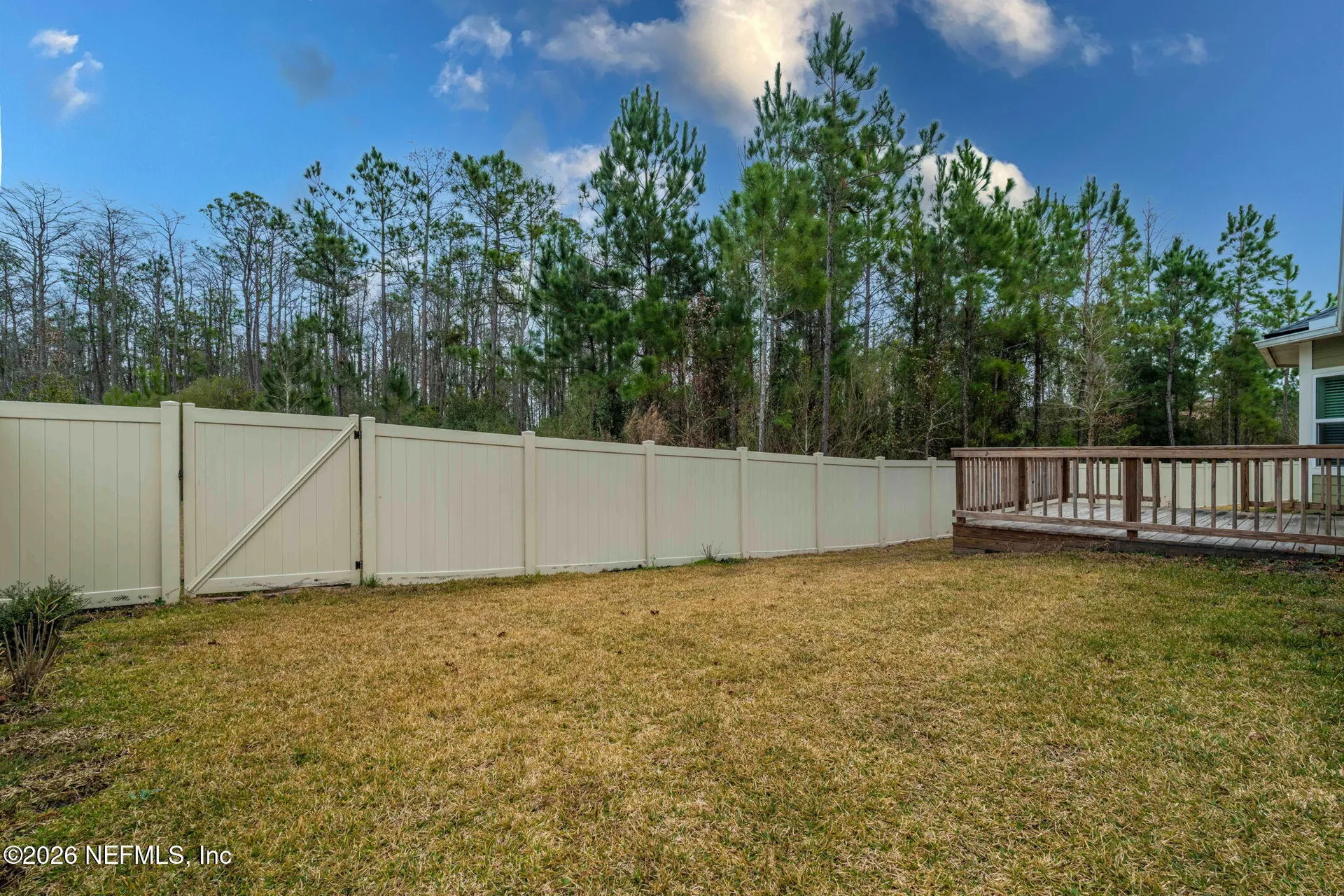 620 Ivory Palm Road Orange Park FL 32073
