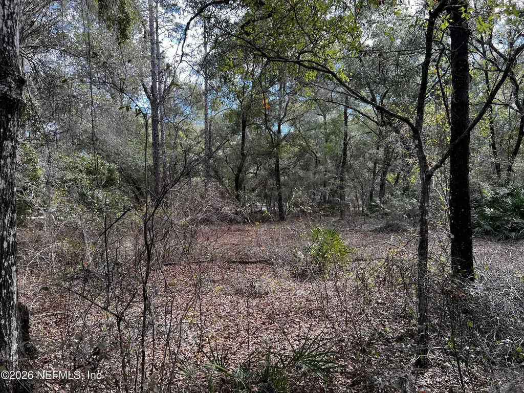 141 Woodland Lane Hawthorne FL 32640