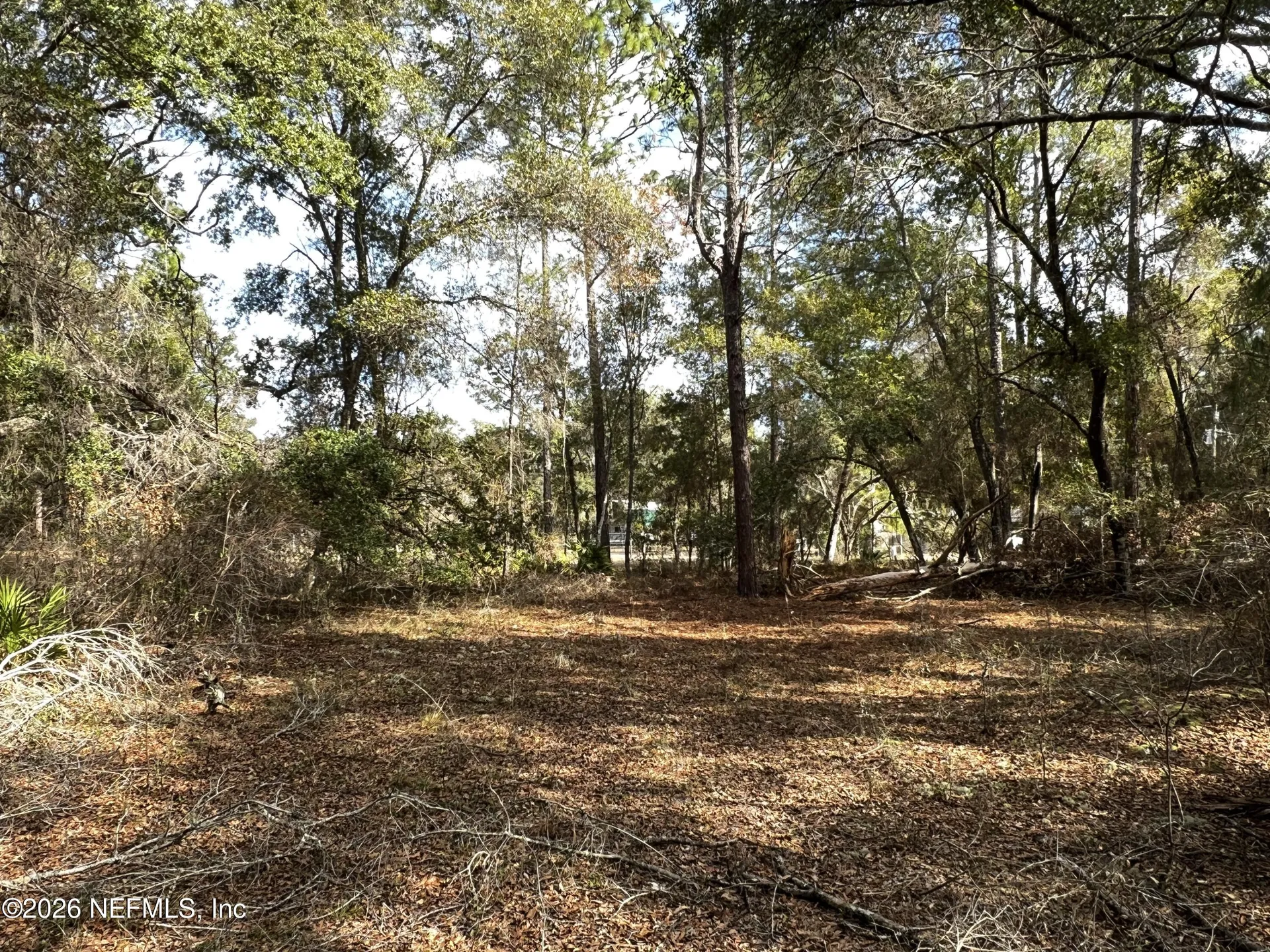 141 Woodland Lane Hawthorne FL 32640