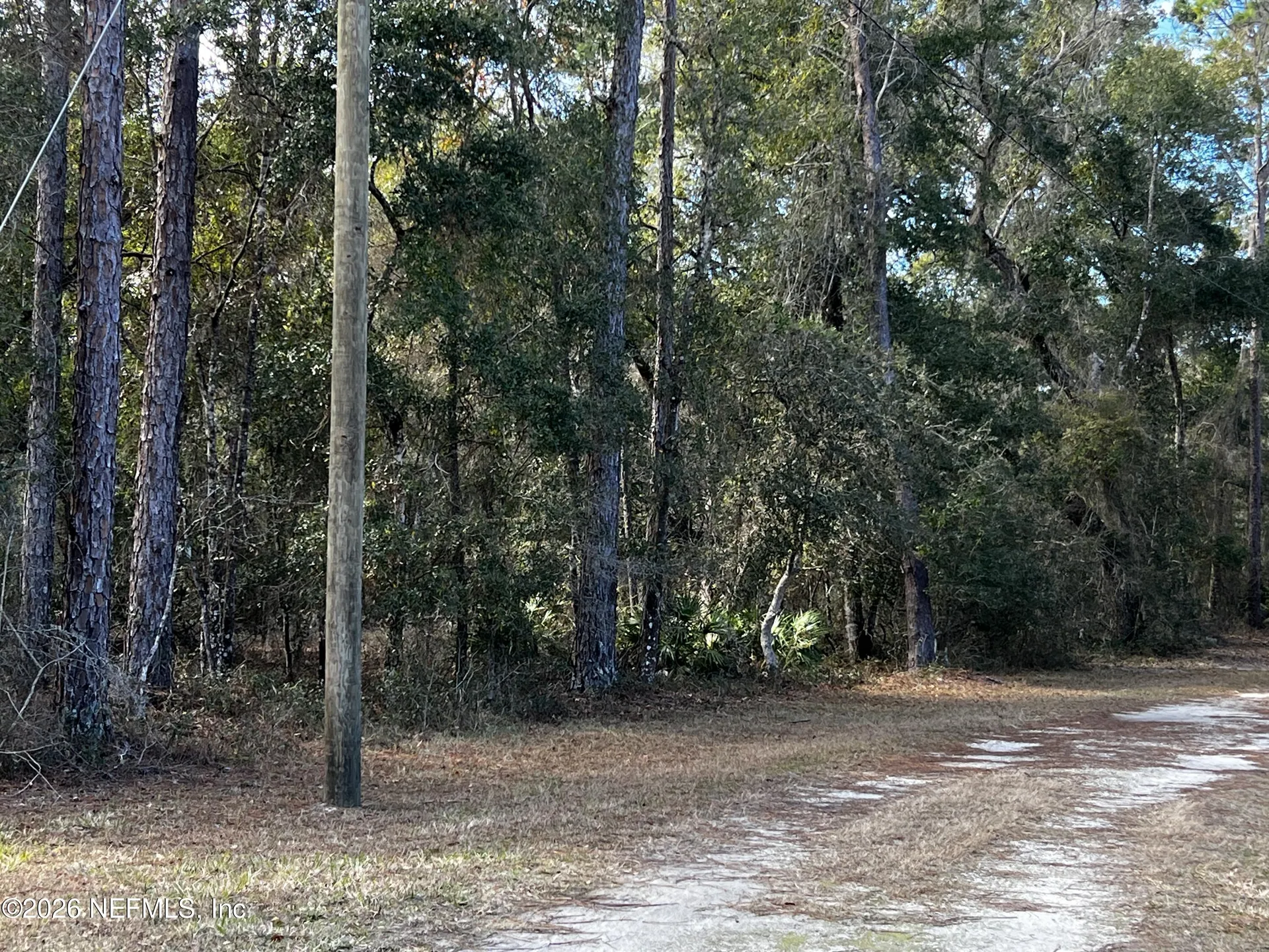 141 Woodland Lane Hawthorne FL 32640
