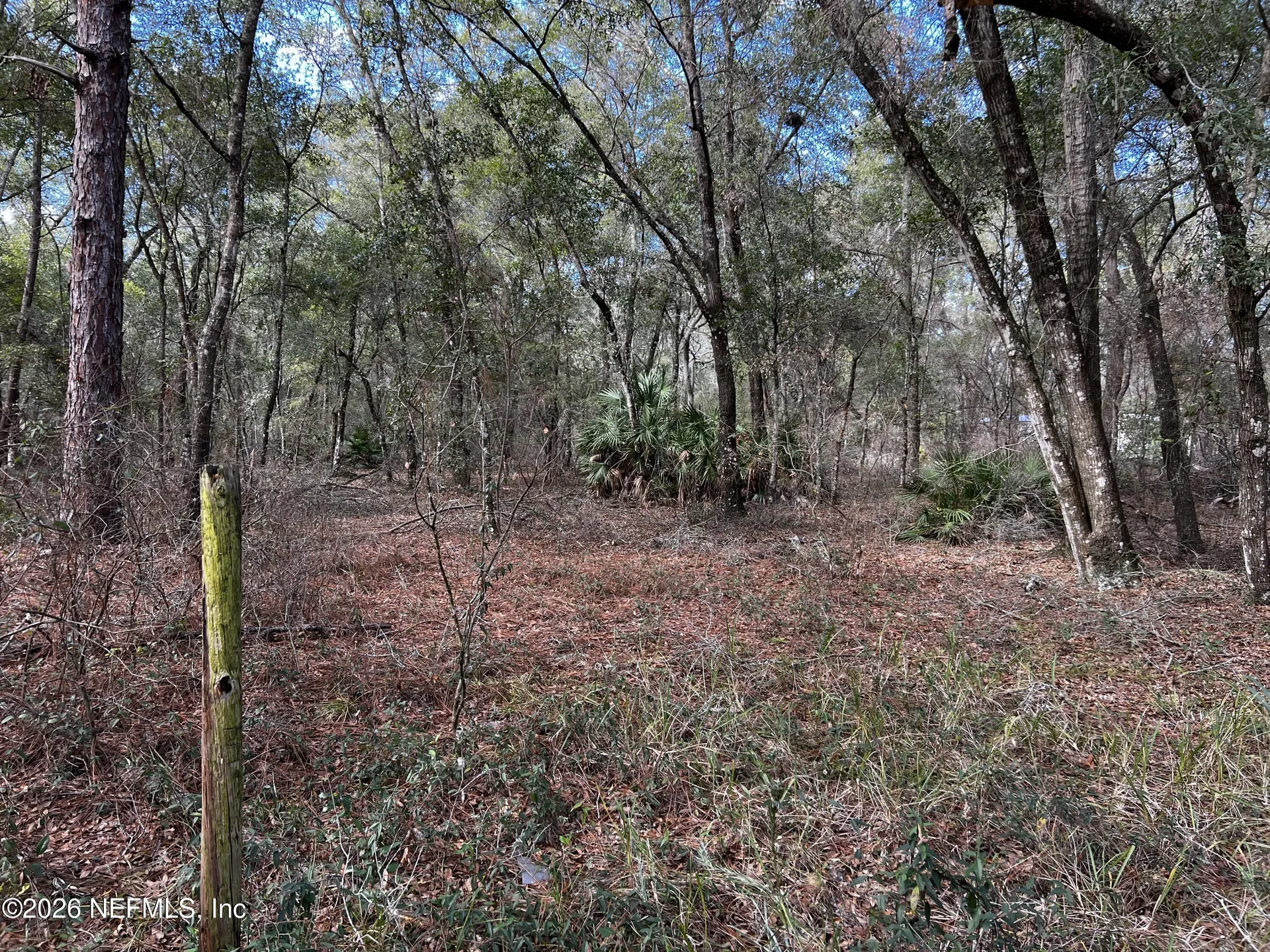 141 Woodland Lane Hawthorne FL 32640