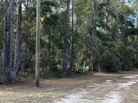 141 Woodland Lane Hawthorne FL 32640