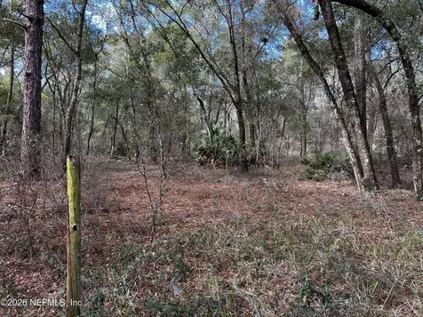 141 Woodland Lane Hawthorne FL 32640