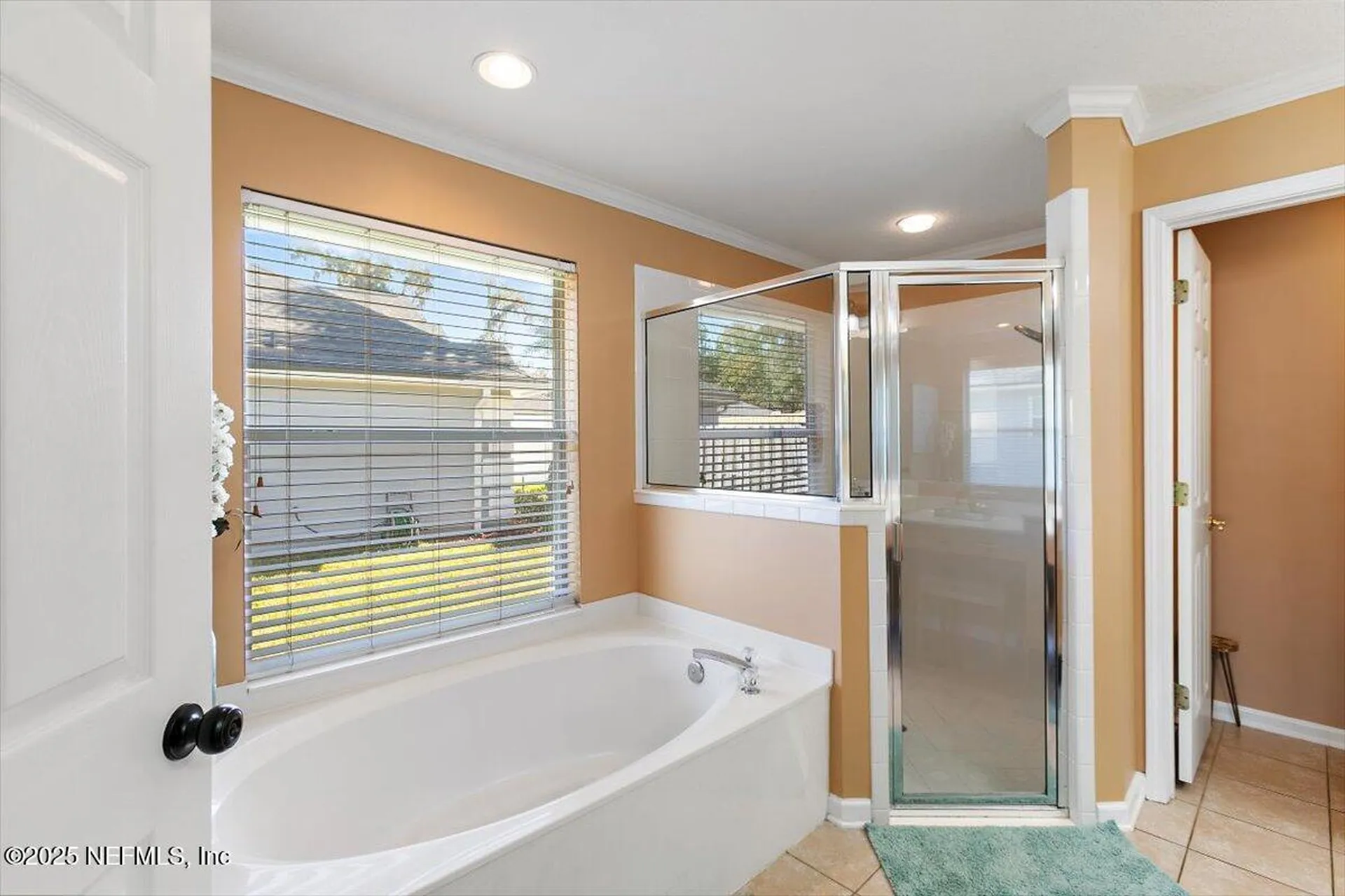 1858 Sentry Oak Court Fleming Island FL 32003