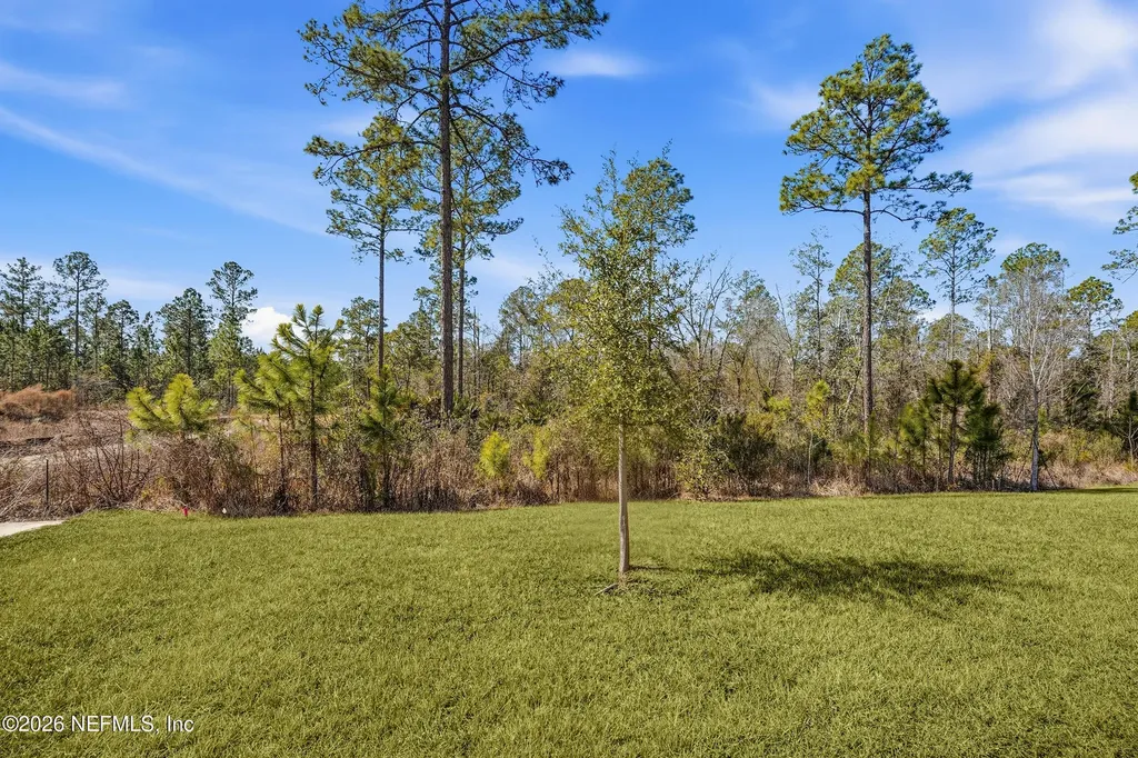 2640 Windsor Lakes Way Green Cove Springs FL 32043
