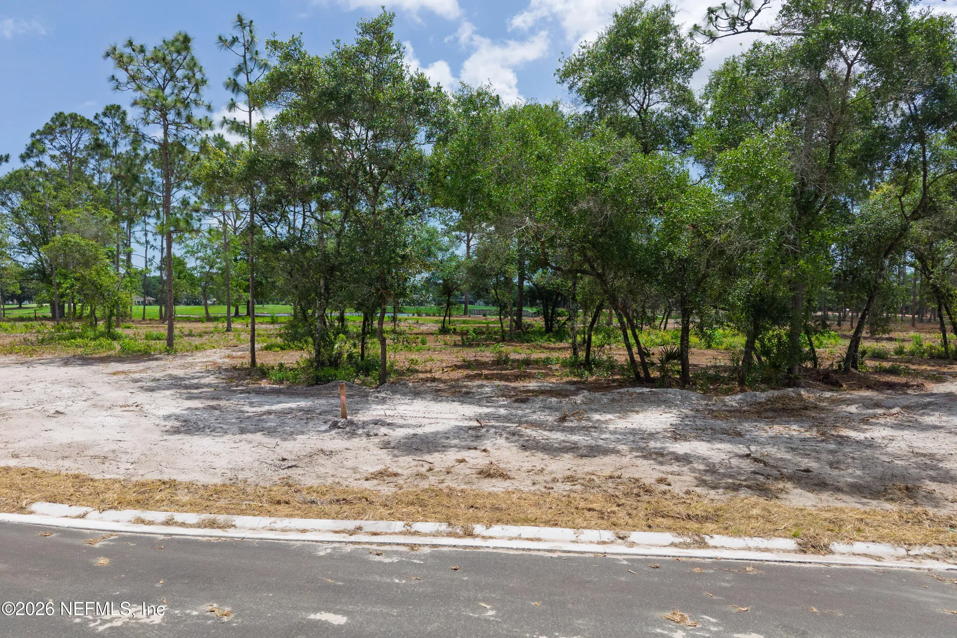 4523 Feather Moss Court Jacksonville FL 32224