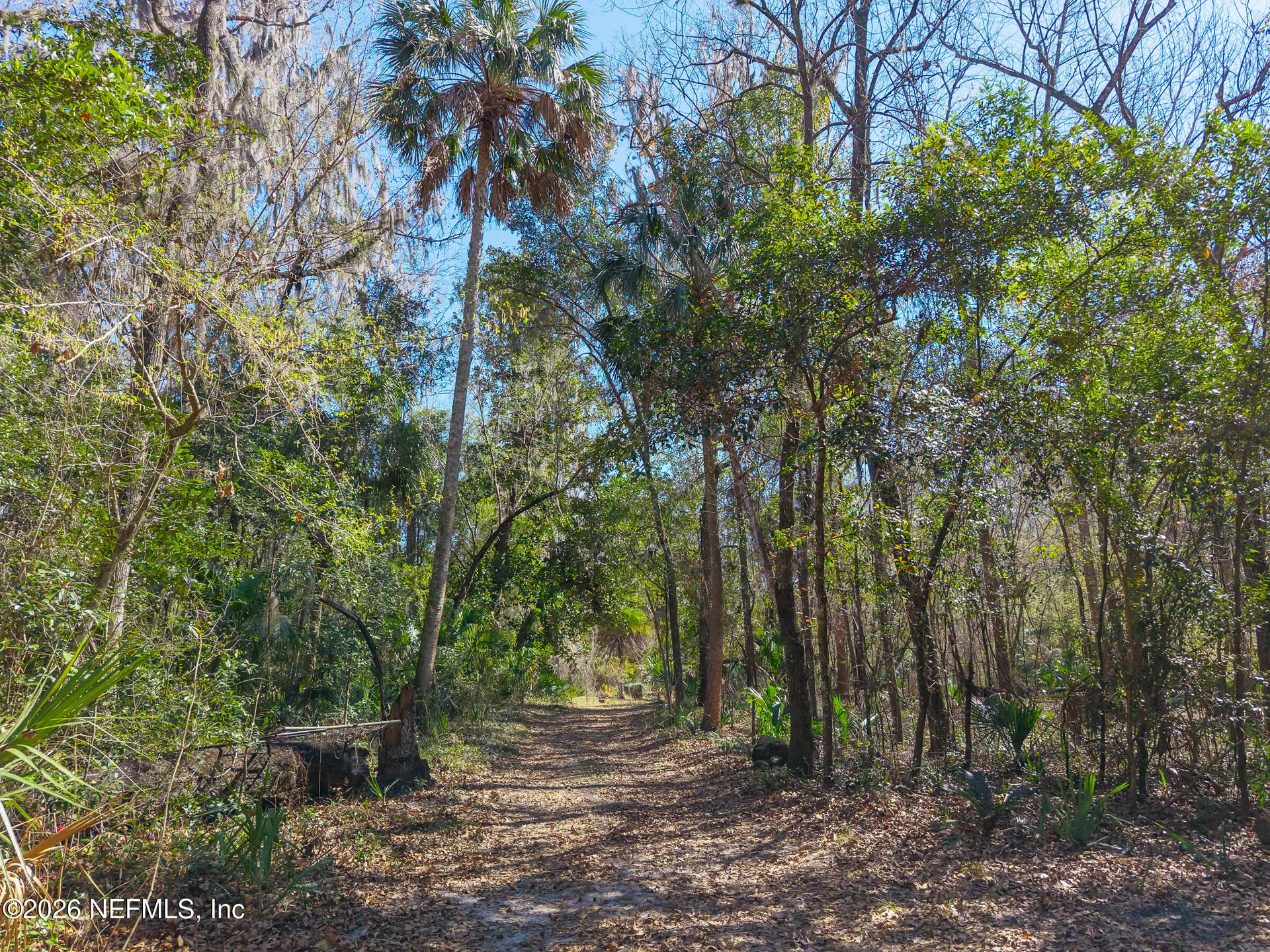 121 & 125 Panther Trail Palatka FL 32177