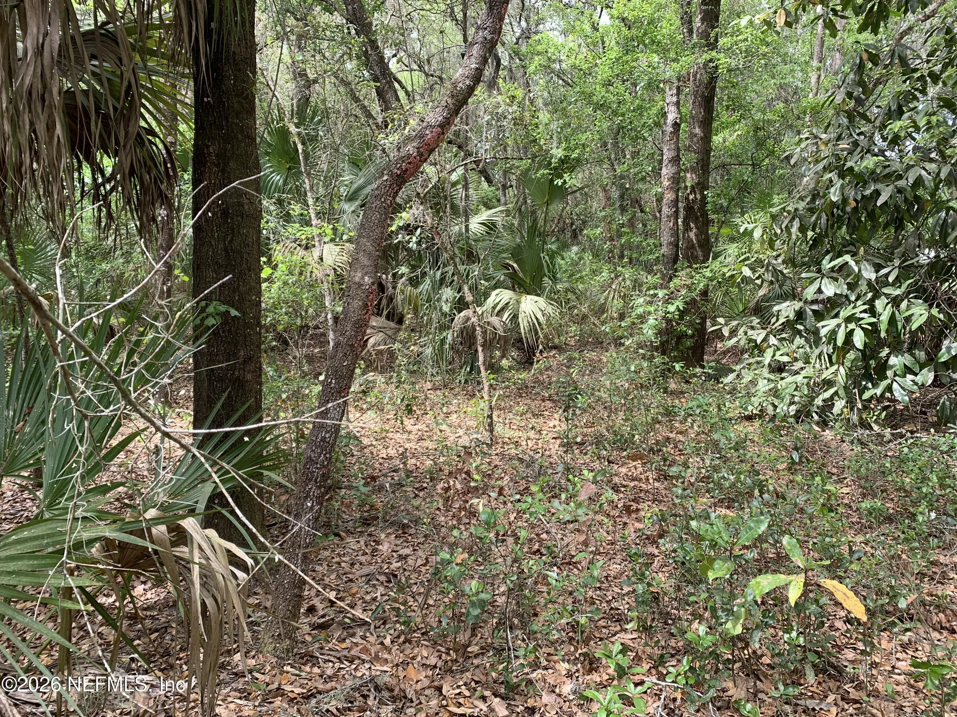00 Old Woods Road Interlachen FL 32148