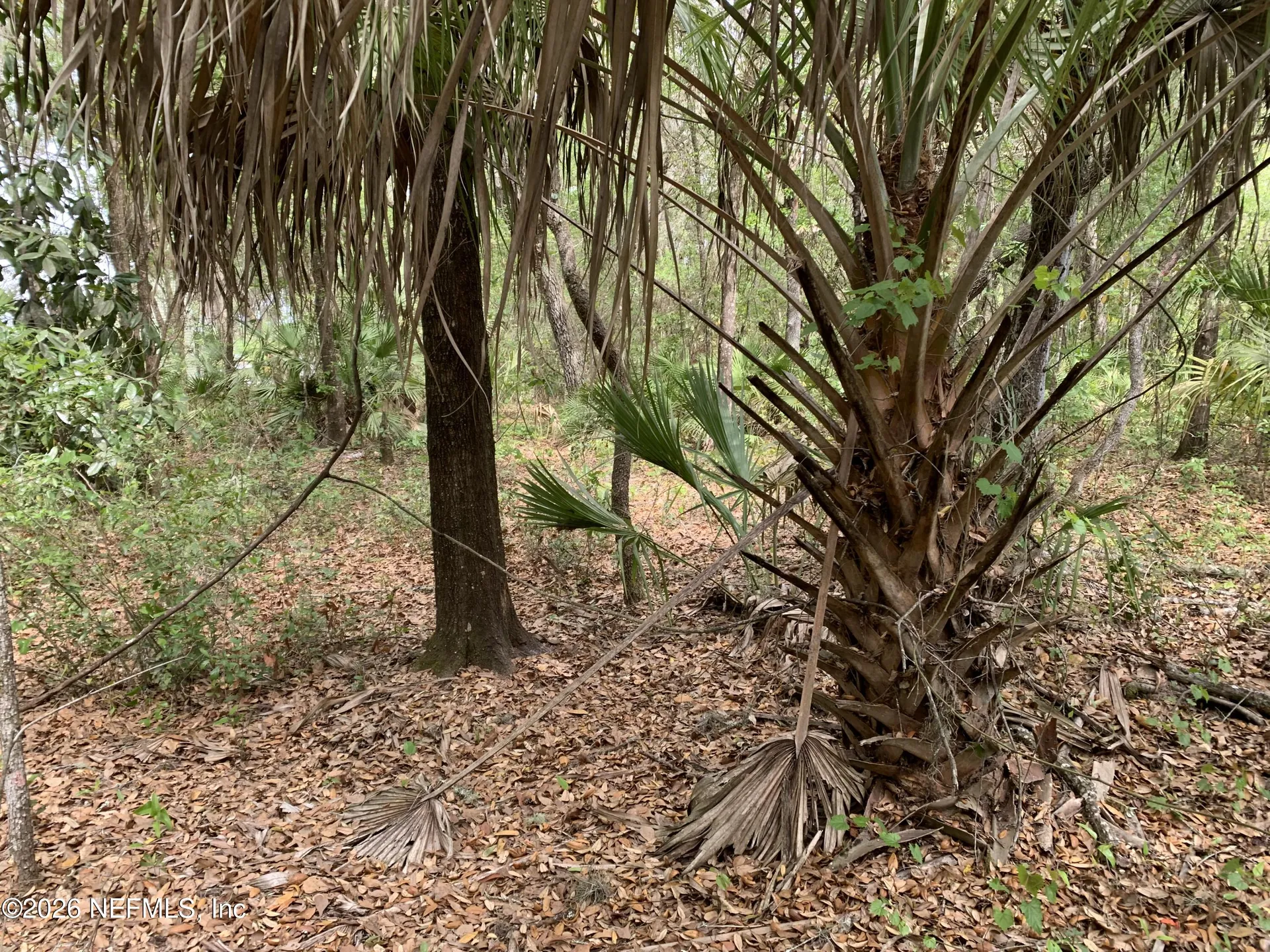 00 Old Woods Road Interlachen FL 32148