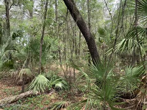 00 Old Woods Road Interlachen FL 32148