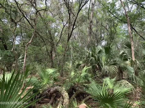 00 Old Woods Road Interlachen FL 32148