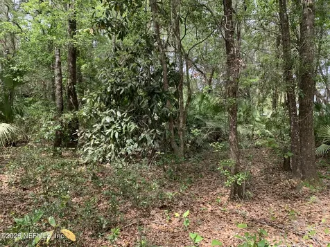 00 Old Woods Road Interlachen FL 32148