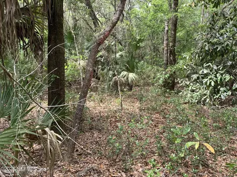 00 Old Woods Road Interlachen FL 32148
