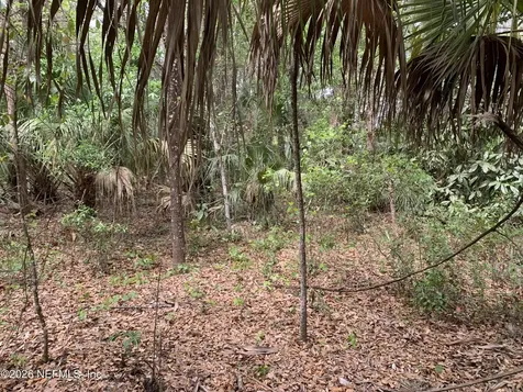 00 Old Woods Road Interlachen FL 32148