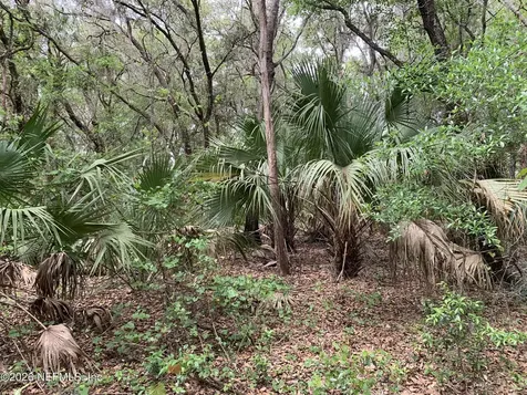 00 Old Woods Road Interlachen FL 32148