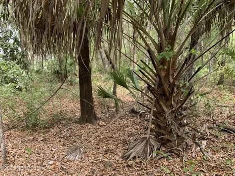 00 Old Woods Road Interlachen FL 32148