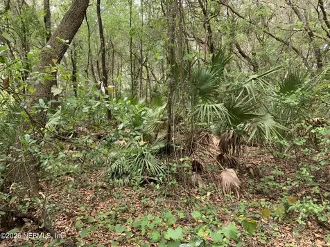 00 Old Woods Road Interlachen FL 32148