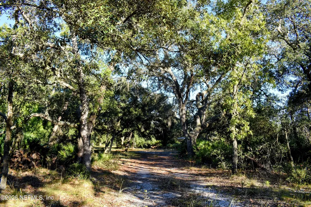 224 Rodeo Drive Interlachen FL 32148