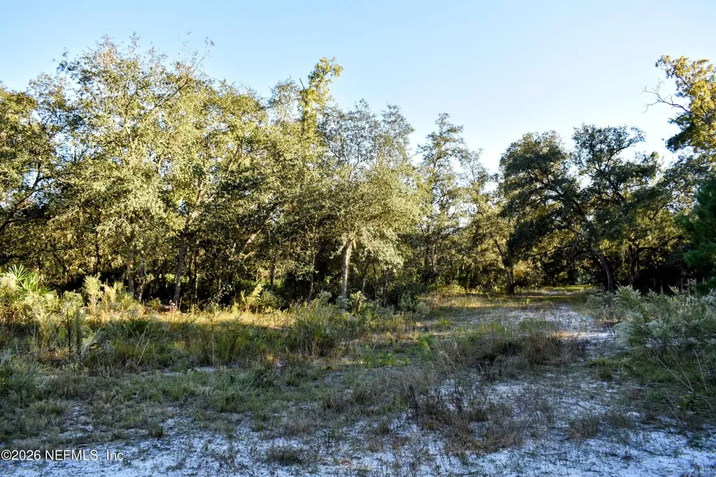 224 Rodeo Drive Interlachen FL 32148