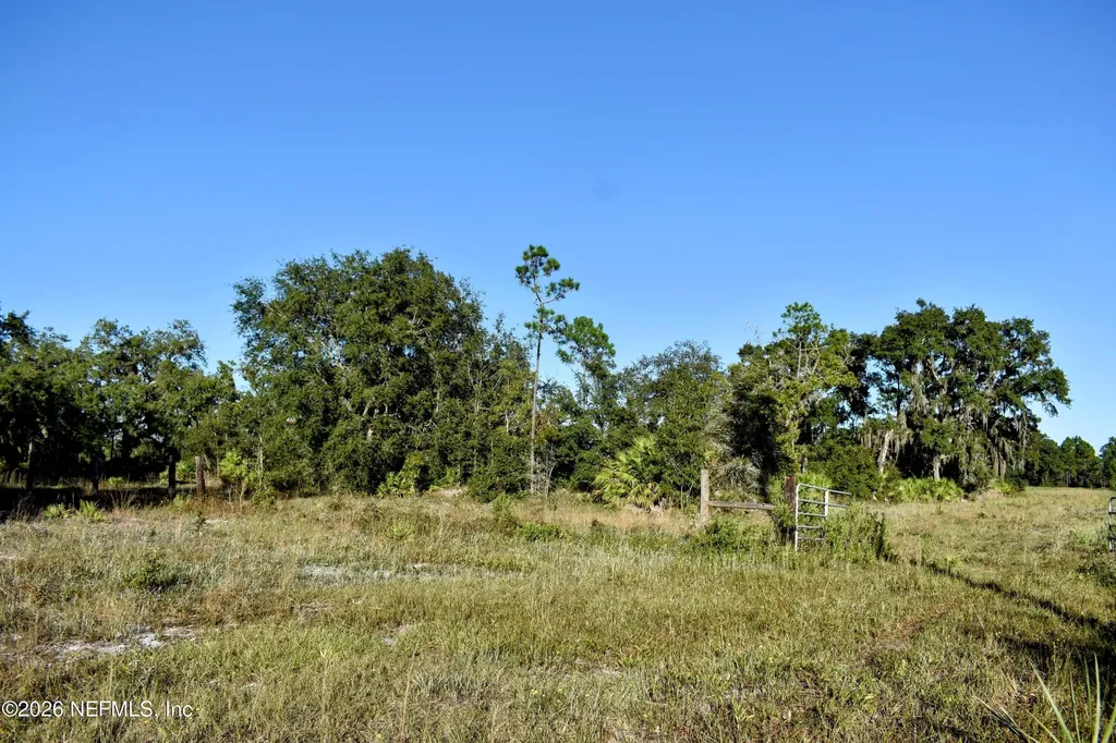224 Rodeo Drive Interlachen FL 32148
