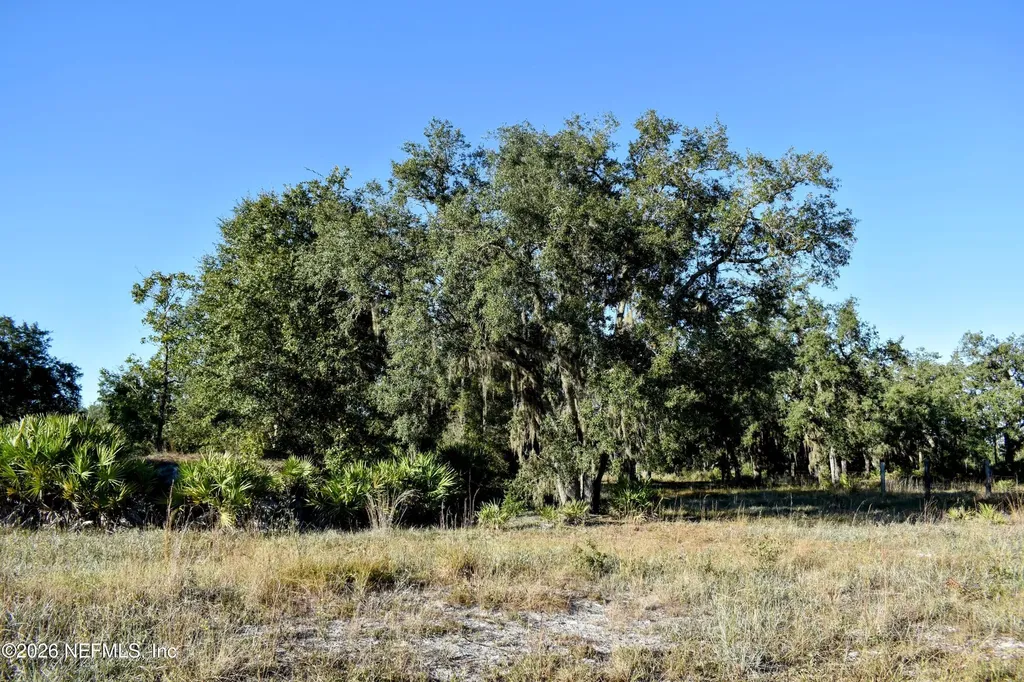 224 Rodeo Drive Interlachen FL 32148