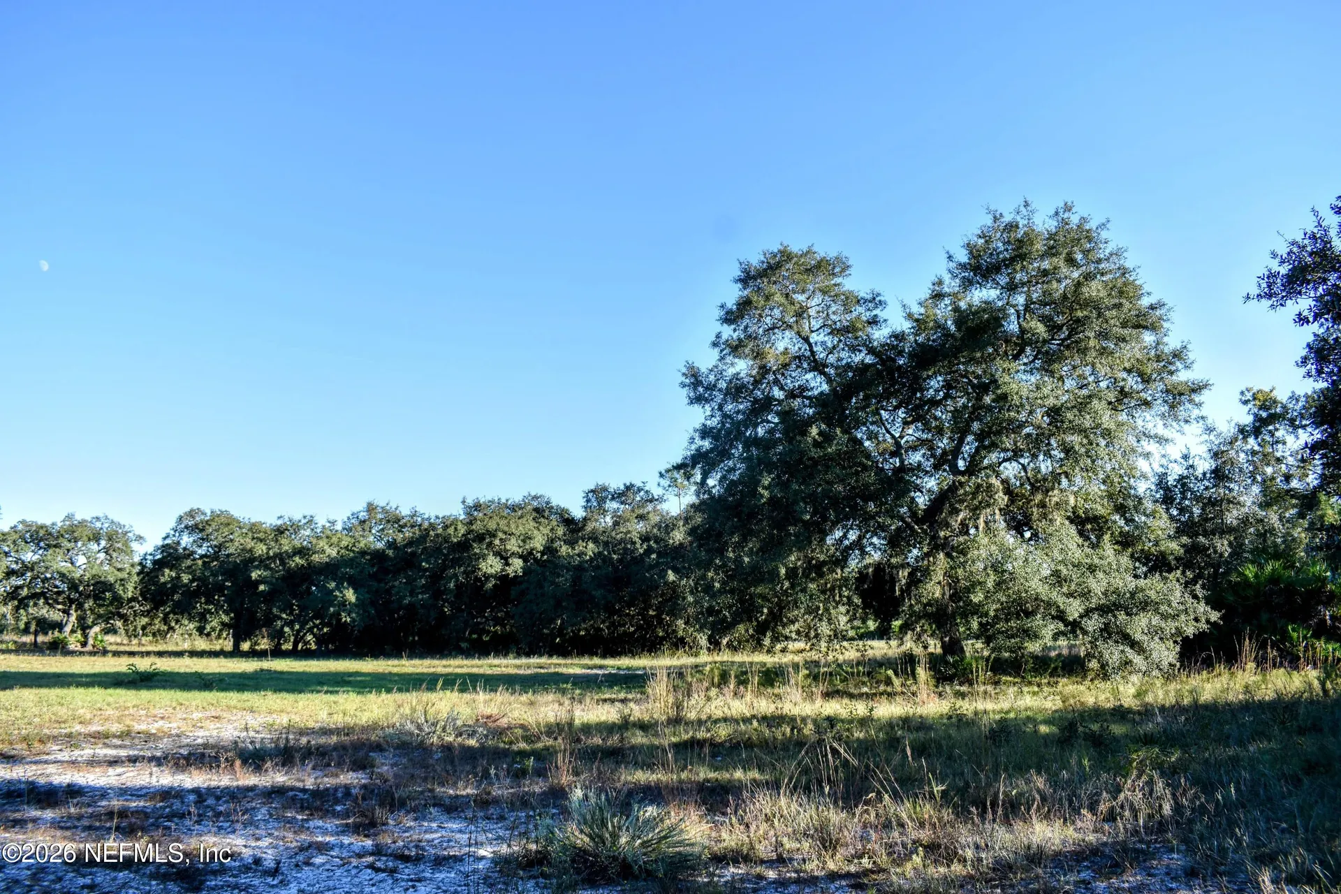 224 Rodeo Drive Interlachen FL 32148
