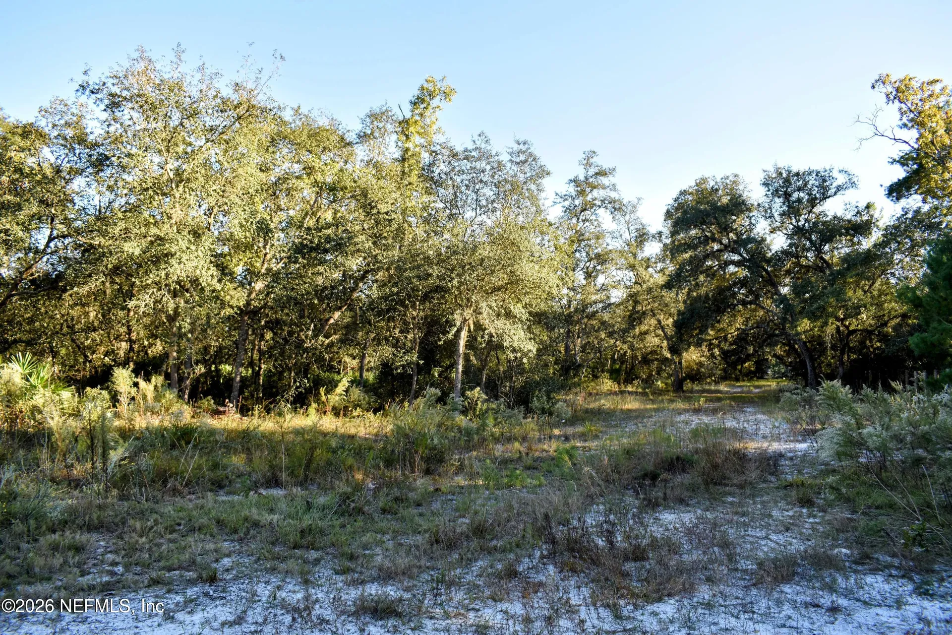 224 Rodeo Drive Interlachen FL 32148