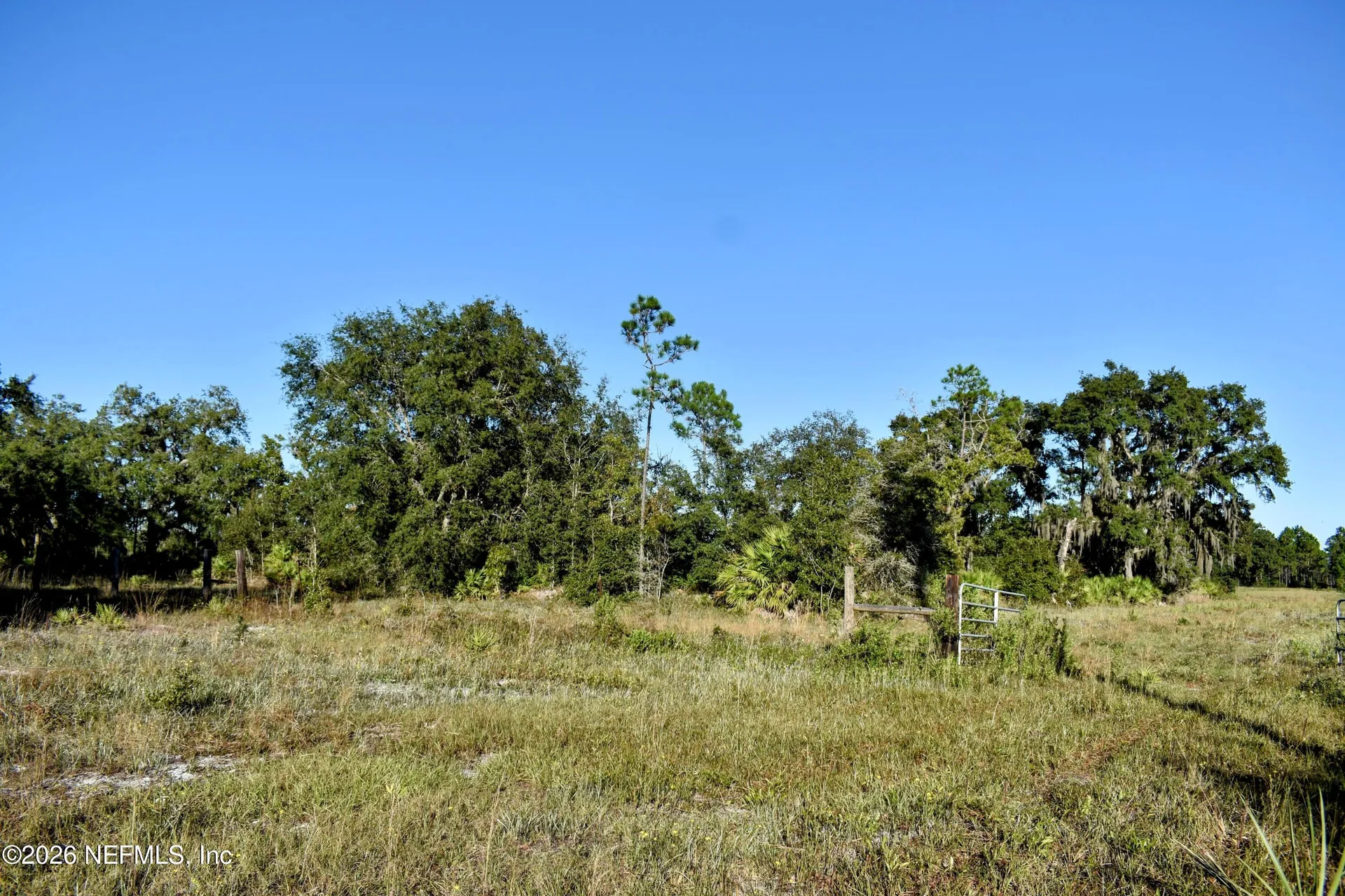 224 Rodeo Drive Interlachen FL 32148