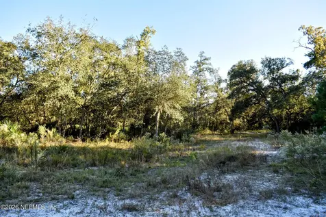 224 Rodeo Drive Interlachen FL 32148
